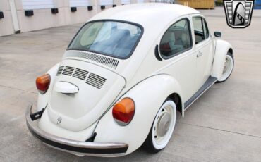 Volkswagen-Beetle-Classic-1994-coupe-8