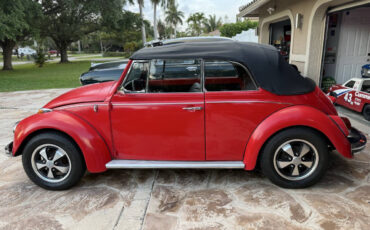 Volkswagen-Beetle-New-1968-Convertible-10