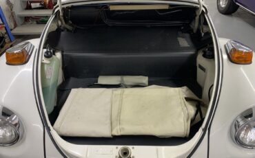 Volkswagen-Beetle-Pre-1980-1979-6