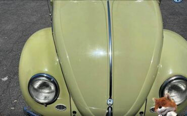 Volkswagen-Beetle-original-1960-1