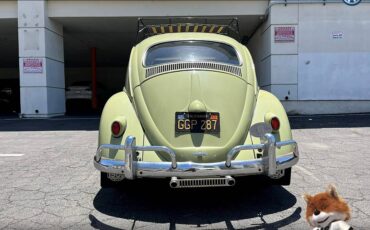 Volkswagen-Beetle-original-1960-21