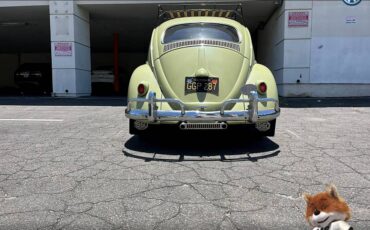 Volkswagen-Beetle-original-1960-3