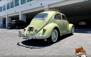 Volkswagen-Beetle-original-1960-4