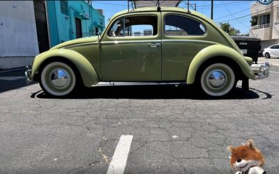Volkswagen Beetle original  1960