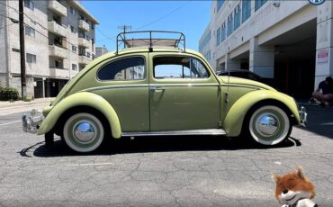 Volkswagen-Beetle-original-1960-5