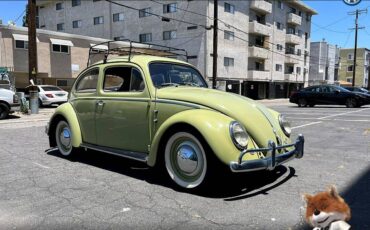 Volkswagen-Beetle-original-1960-6
