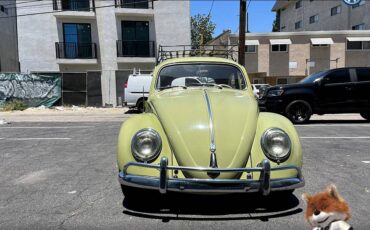 Volkswagen-Beetle-original-1960-7
