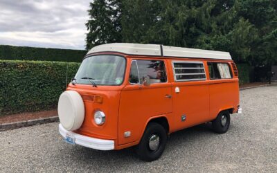 Volkswagen Bus/Vanagon 1974