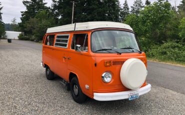 Volkswagen-BusVanagon-1974-6