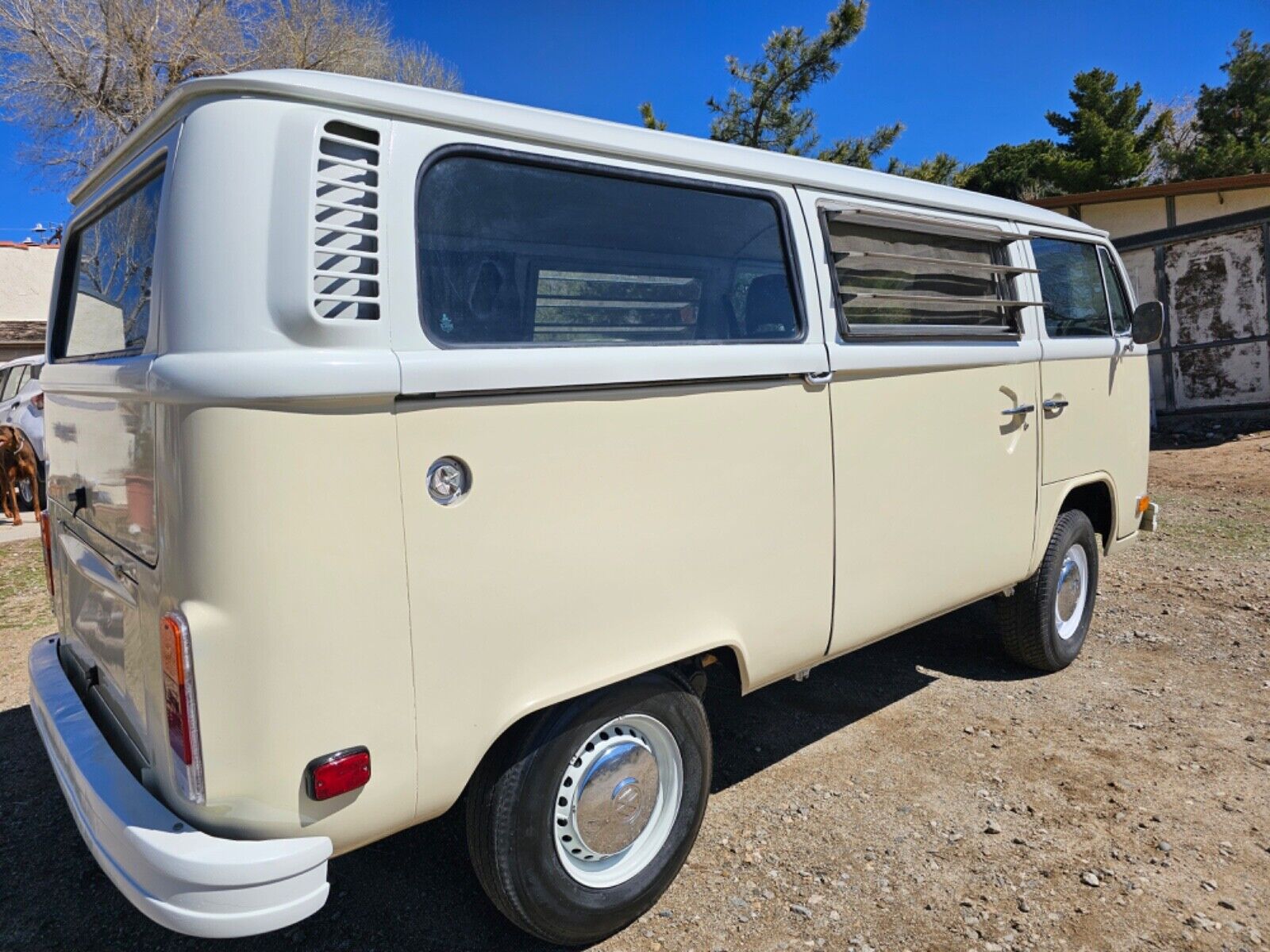 Volkswagen-BusVanagon-1978-12