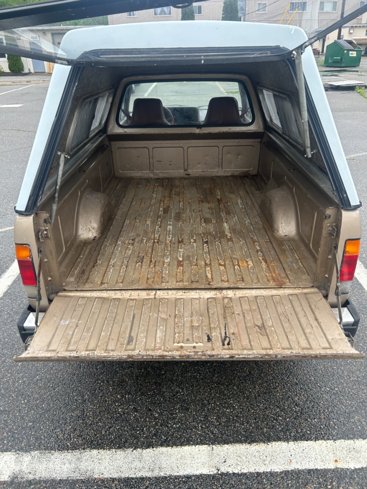 Volkswagen-Rabbit-1981-10