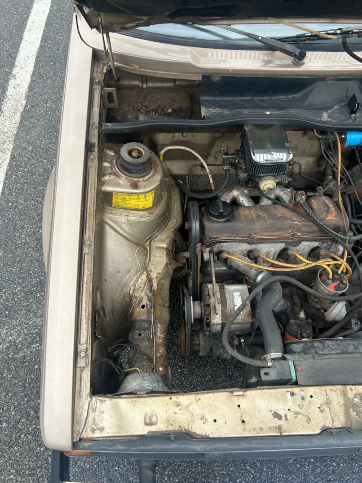 Volkswagen-Rabbit-1981-17