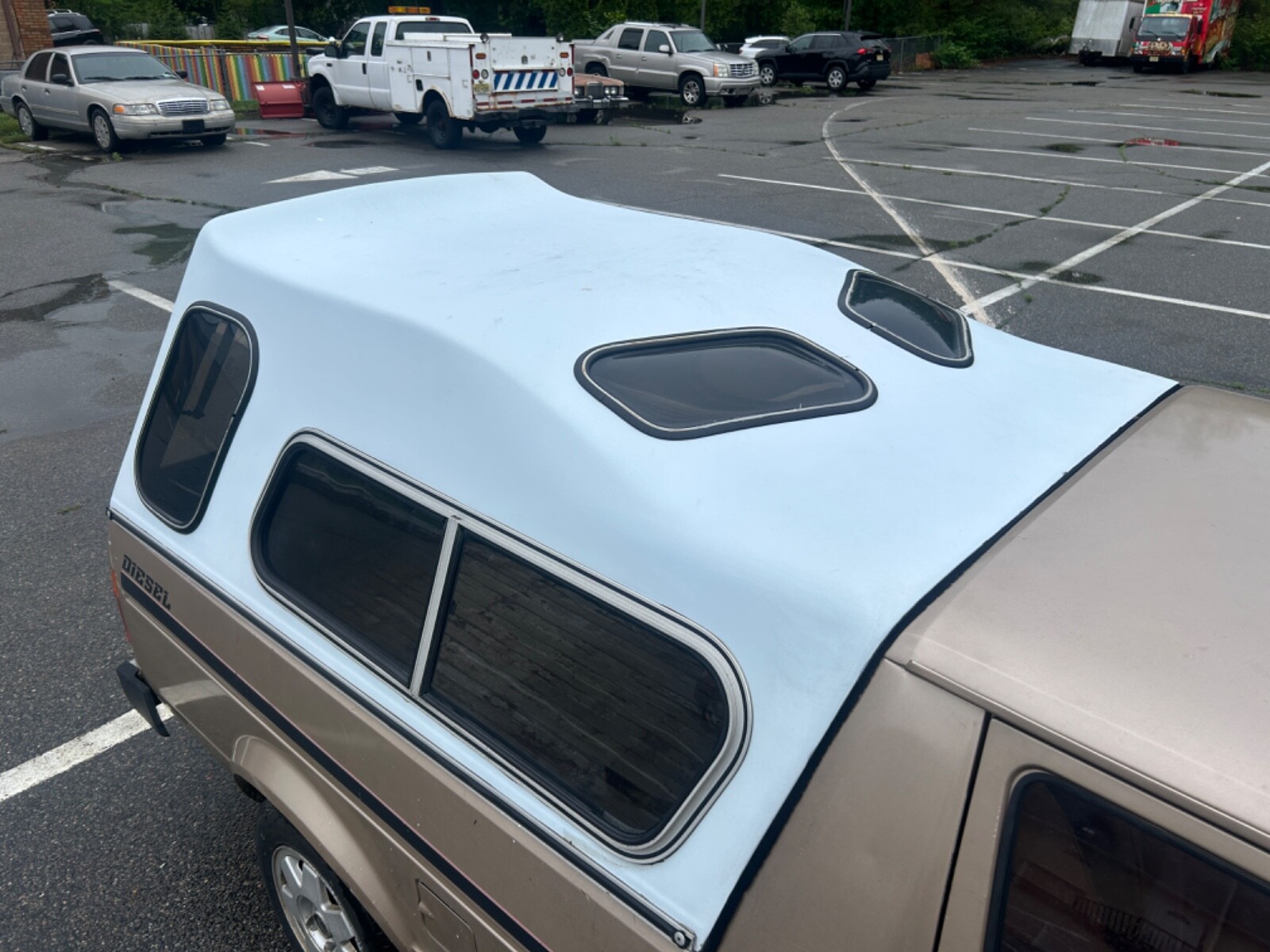 Volkswagen-Rabbit-1981-19