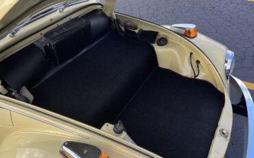 Volkswagen-Super-Beetle-1971-Sedan-17