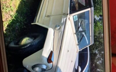 Volkswagen Thing  1974