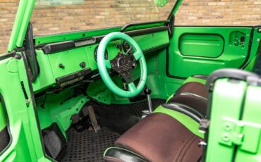 Volkswagen-Thing-1974-Other-4