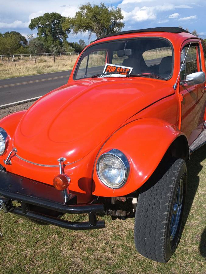 Volkswagen-Vw-baja-1974-orange-2