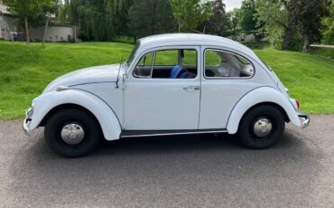 Volkswagen-Vw-bugbeetle-1967-white
