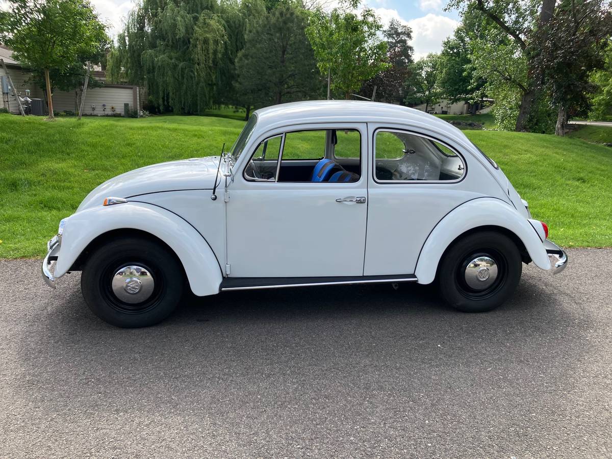 Volkswagen Vw bug/beetle  1967 white