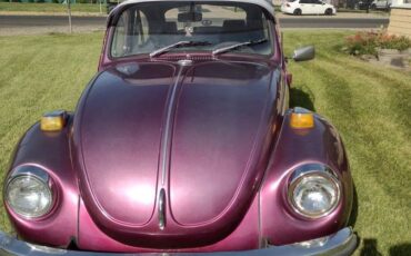 Volkswagen-Vw-super-beetle-1972-purple-1
