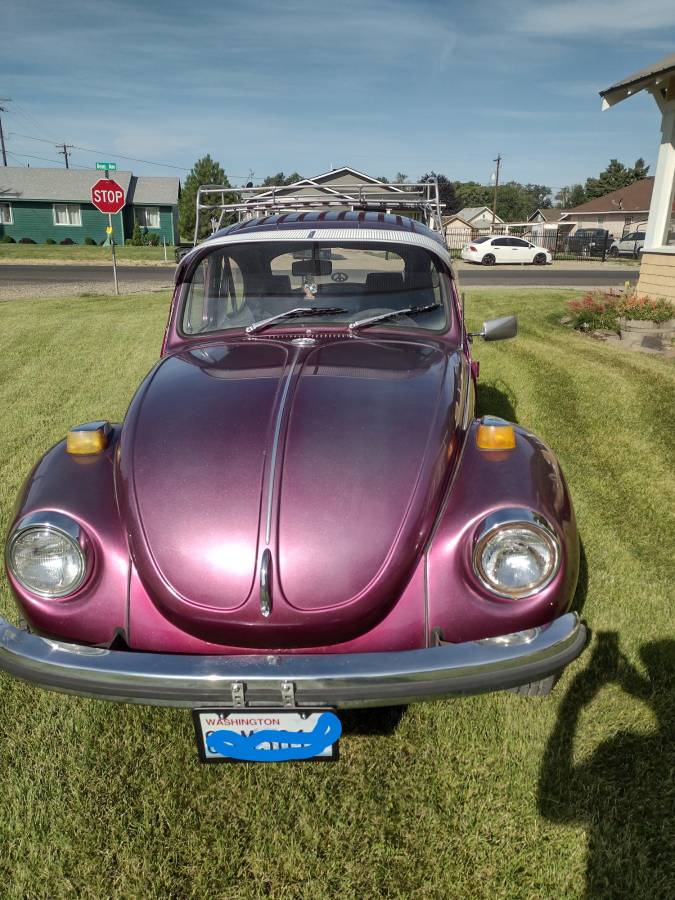 Volkswagen-Vw-super-beetle-1972-purple-1