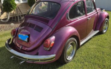 Volkswagen-Vw-super-beetle-1972-purple-2