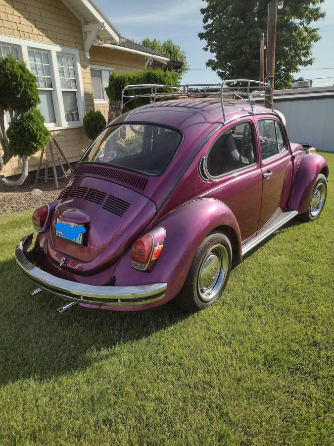 Volkswagen-Vw-super-beetle-1972-purple-2