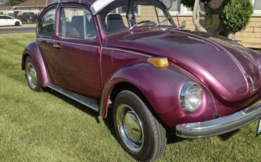 Volkswagen-Vw-super-beetle-1972-purple-3