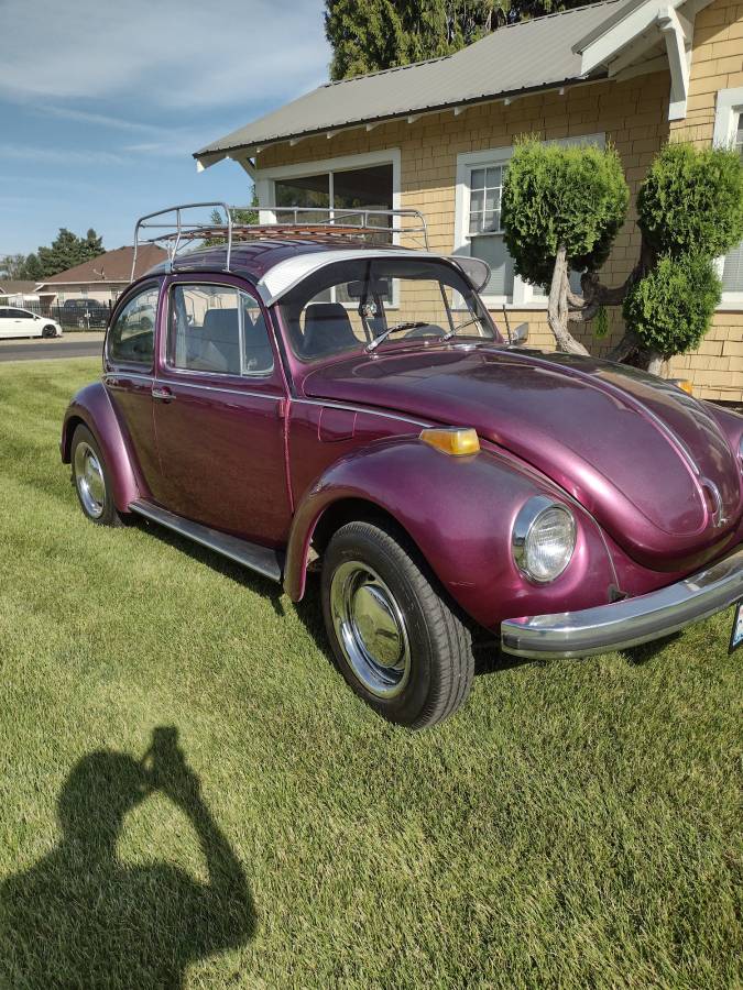 Volkswagen-Vw-super-beetle-1972-purple-3