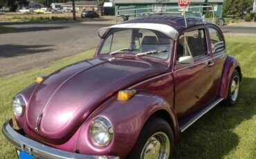 Volkswagen-Vw-super-beetle-1972-purple