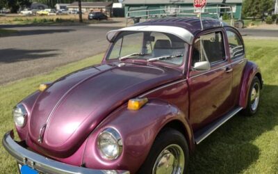 Volkswagen Vw super beetle  1972 purple