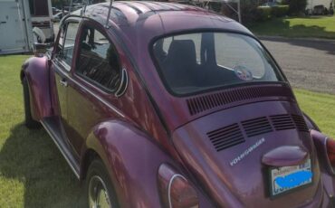Volkswagen-Vw-super-beetle-1972-purple-5