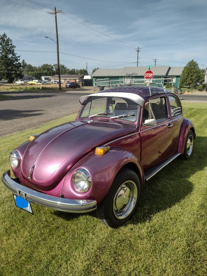 Volkswagen Vw super beetle  1972 purple