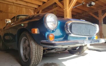 Volvo-P1800-1973-Coupe-20