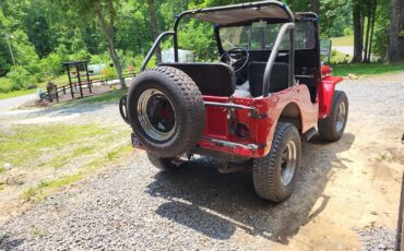 Willys-CJ-2A-1947-SUV-6