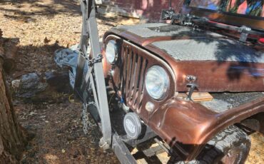 Willys-Cj5-1962-custom-2