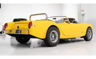 Woodill-Wildfire-1955-Roadster-13