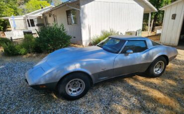 25th-anniversary-ed-corvette-1978-silver-6
