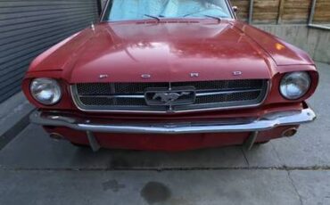66-mustang-1966-red-3