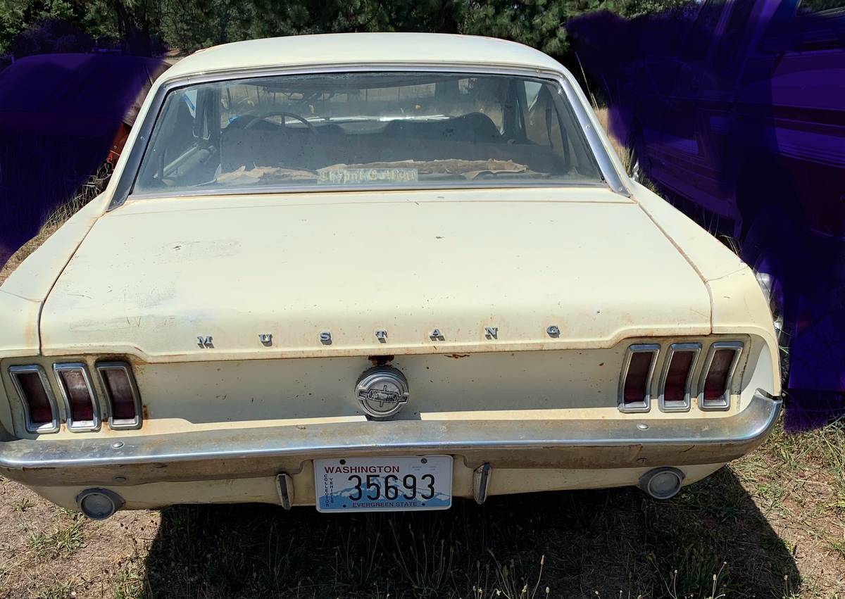 67-mustang-1967-yellow-2