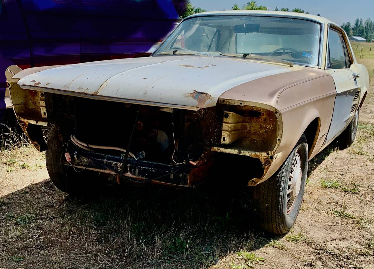 67-mustang-1967-yellow-3