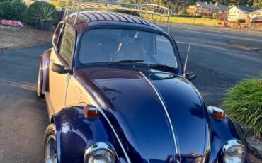 69-vw-beetle-1969-blue-2