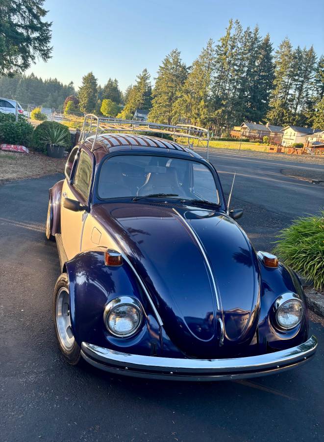 69-vw-beetle-1969-blue-2