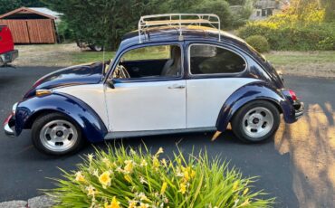 69-vw-beetle-1969-blue