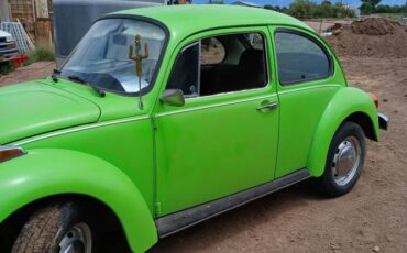 74-super-beetle-1974-green-1