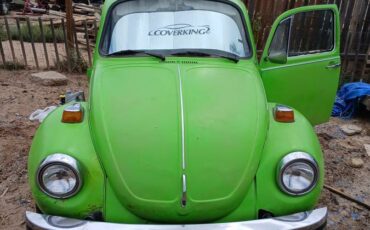 74-super-beetle-1974-green-12