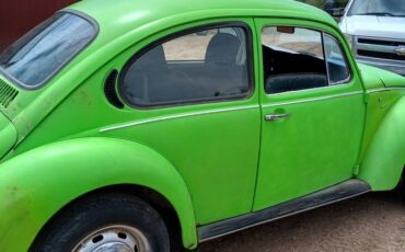 74-super-beetle-1974-green-13