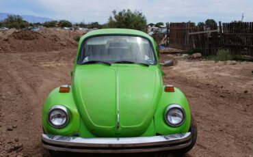 74-super-beetle-1974-green-3