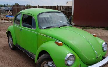 74-super-beetle-1974-green