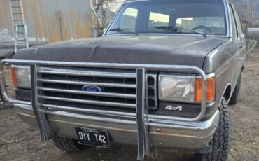 89-ford-bronco-full-size-1989-brown-12